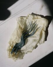 Viva Spiral Blue - Image 4