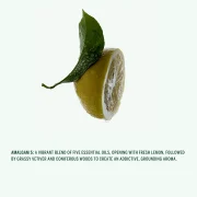 Amalgam 5 Hand Cream - Image 2