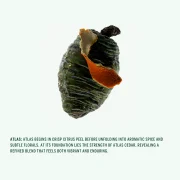 Atlas Deodorant - Image 2