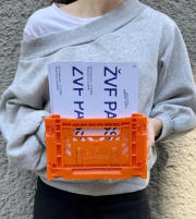 lístok na ŽVF 2026 – Obrázok 4